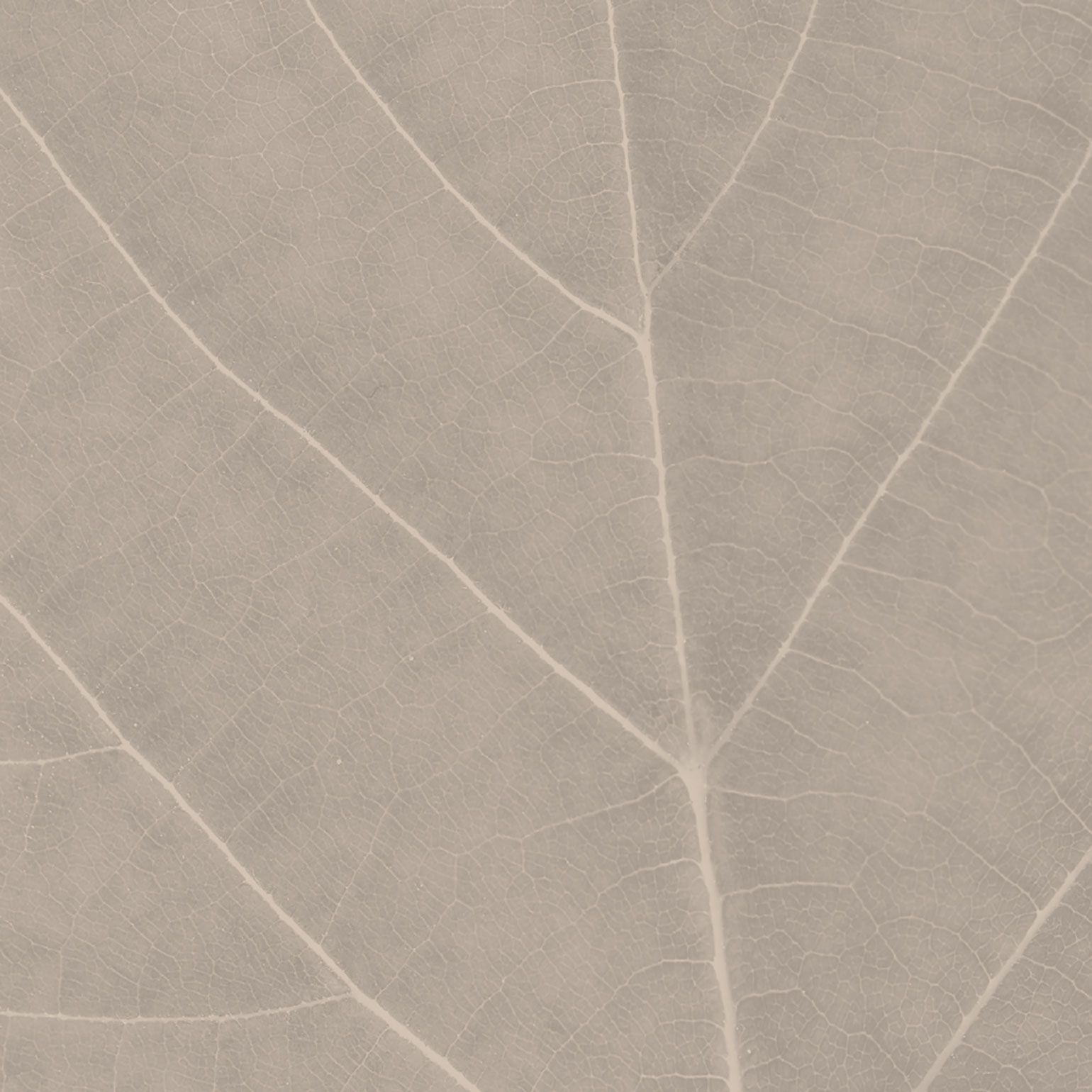 Adoro Pattern