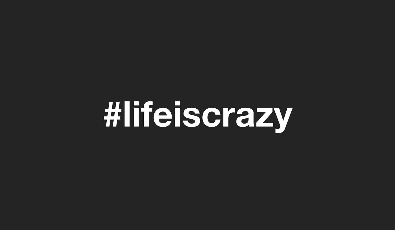 Gekko House lifeiscrazy